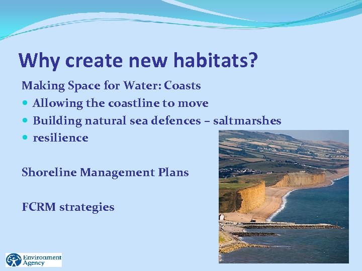 Why create new habitats? Making Space for Water: Coasts Allowing the coastline to move