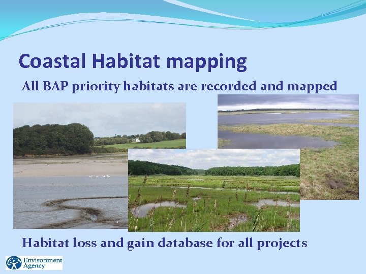 Coastal Habitat mapping All BAP priority habitats are recorded and mapped Habitat loss and