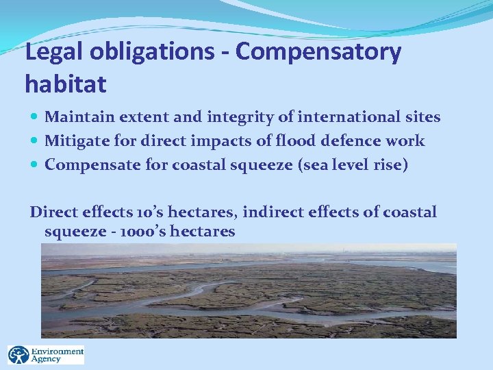 Legal obligations - Compensatory habitat Maintain extent and integrity of international sites Mitigate for