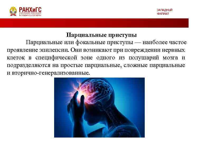 ЗАПАДНЫЙ ФИЛИАЛ Парциальные приступы Парциальные или фокальные приступы — наиболее частое проявление эпилепсии. Они