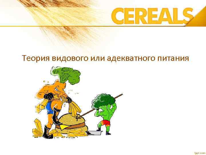 Теория видового или адекватного питания 