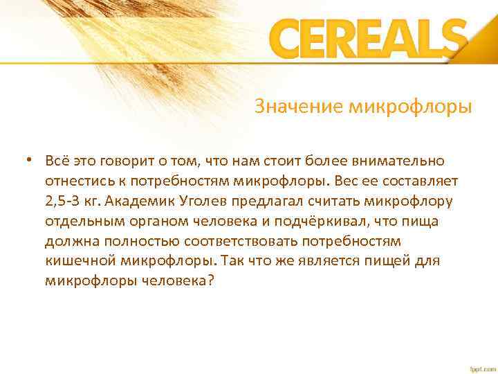 Значение микрофлоры • Всё это говорит о том, что нам стоит более внимательно отнестись