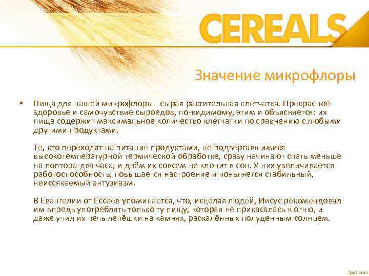 Значение микрофлоры • Пища для нашей микрофлоры - сырая растительная клетчатка. Прекрасное здоровье и