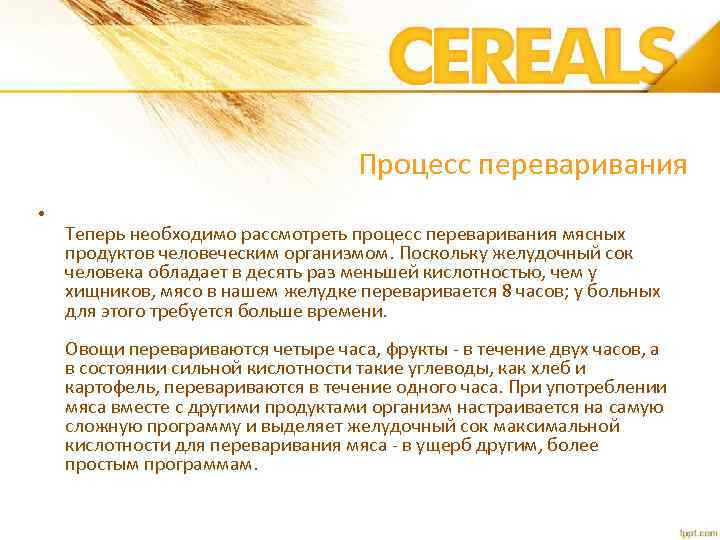 Процесс переваривания • Теперь необходимо рассмотреть процесс переваривания мясных продуктов человеческим организмом. Поскольку желудочный