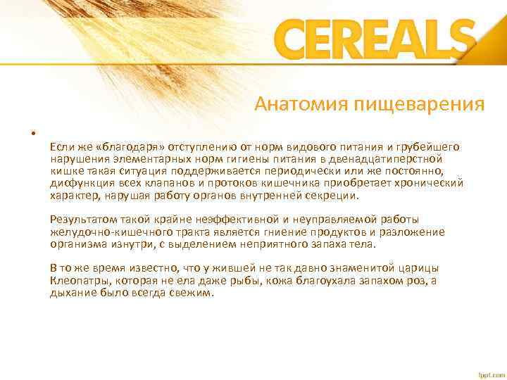 Анатомия пищеварения • Если же «благодаря» отступлению от норм видового питания и грубейшего нарушения
