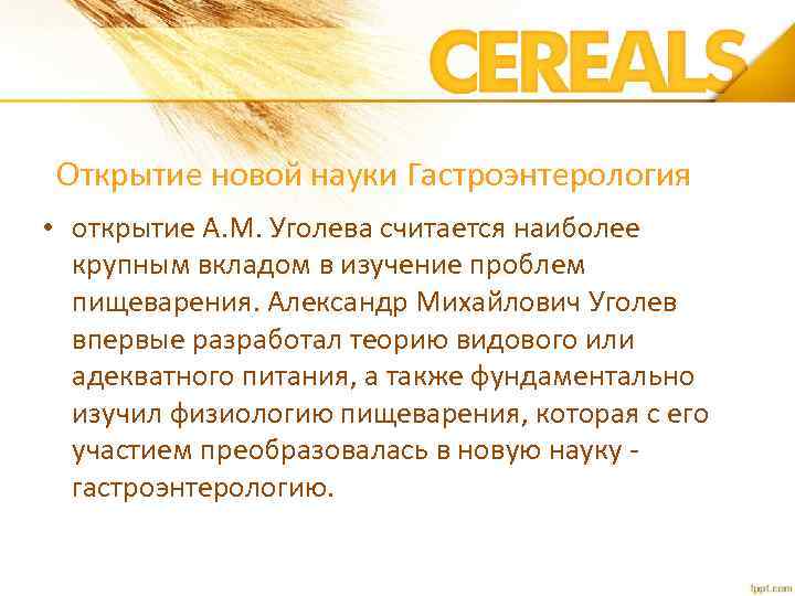 Открытие новой науки Гастроэнтерология • открытие А. М. Уголева считается наиболее крупным вкладом в
