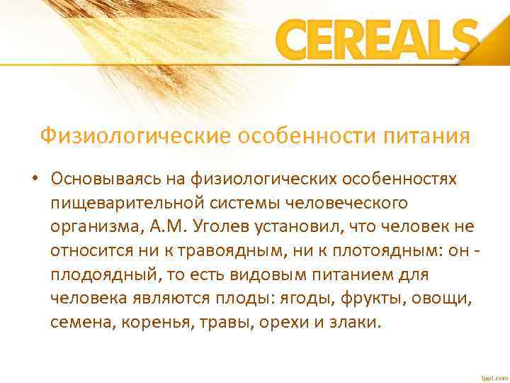 Физиологические особенности питания • Основываясь на физиологических особенностях пищеварительной системы человеческого организма, А. М.