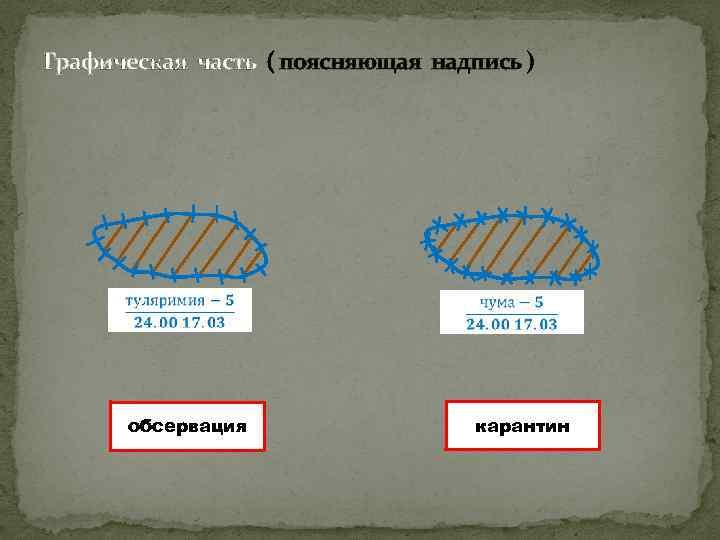 Графическая часть ( поясняющая надпись ) обсервация карантин 