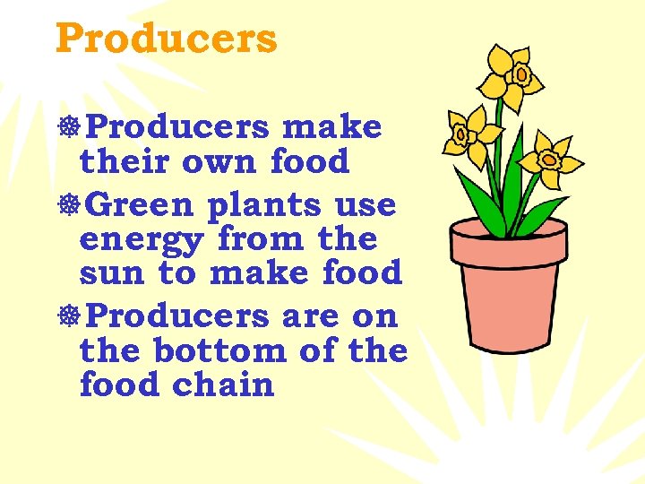 Producers ]Producers make their own food ]Green plants use energy from the sun to