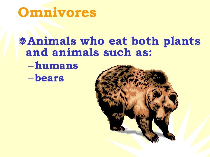 Omnivores ]Animals who eat both plants and animals such as: – humans – bears
