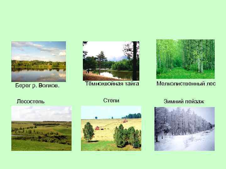Берег р. Волхов. Лесостепь Тёмнохвойная тайга Степи Мелколиственный лес Зимний пейзаж 