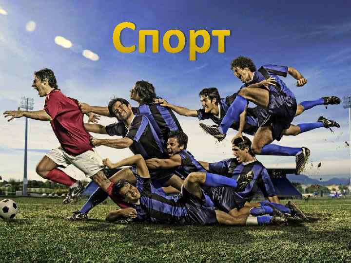 Спорт 
