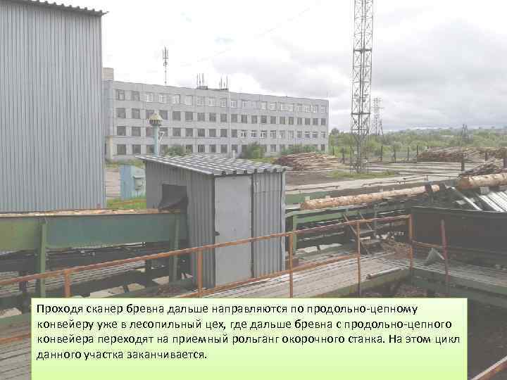 Проходя сканер бревна дальше направляются по продольно-цепному конвейеру уже в лесопильный цех, где дальше