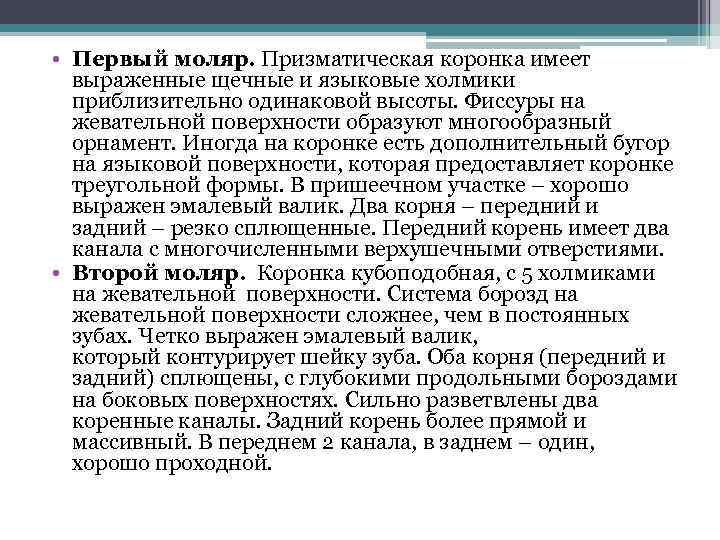  • Первый моляр. Призматическая коронка имеет выраженные щечные и языковые холмики приблизительно одинаковой