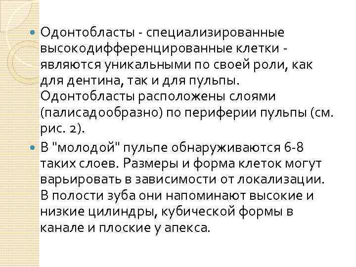 Одонтобласты - специализированные высокодифференцированные клетки - являются уникальными по своей роли, как для дентина,