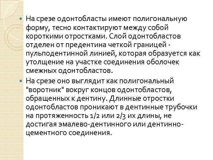 На срезе одонтобласты имеют полигональную форму, тесно контактируют между собой короткими отростками. Слой одонтобластов