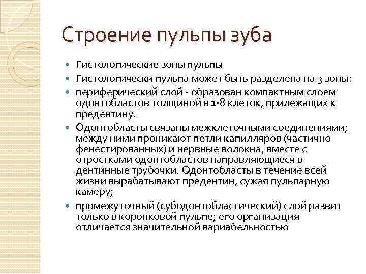Строение пульпы зуба Гистологические зоны пульпы Гистологически пульпа может быть разделена на 3 зоны:
