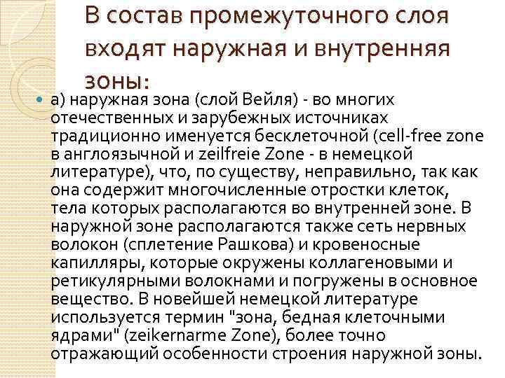  В состав промежуточного слоя входят наружная и внутренняя зоны: а) наружная зона (слой