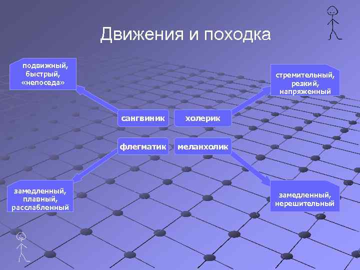 Движения и походка подвижный, быстрый, «непоседа» стремительный, резкий, напряженный сангвиник флегматик замедленный, плавный, расслабленный