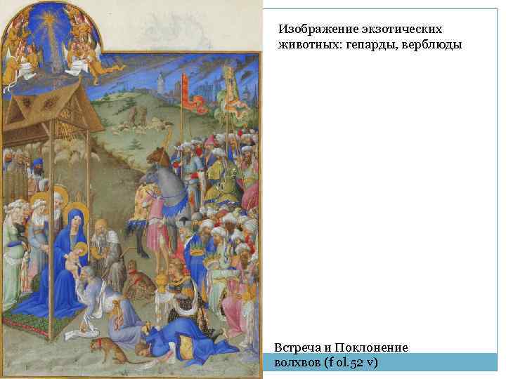 Изображение экзотических животных: гепарды, верблюды Встреча и Поклонение волхвов (f ol. 52 v) 