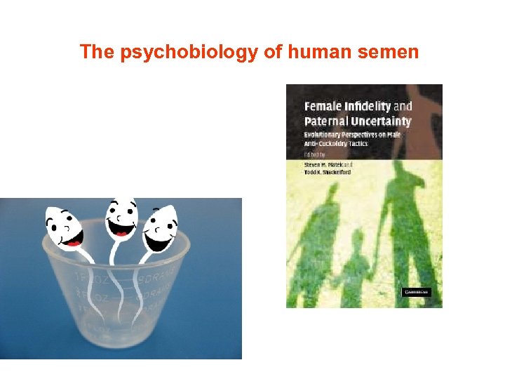 The psychobiology of human semen 
