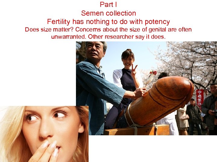 Part I Semen collection Fertility has nothing to do with potency Does size matter?