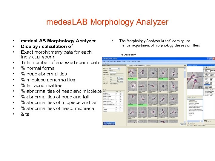 medea. LAB Morphology Analyzer • • • • medea. LAB Morphology Analyzer Display /