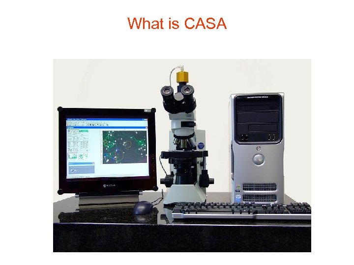 What is CASA 