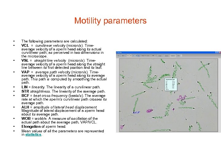 Motility parameters • • • The following parameters are calculated: VCL = curvilinear velocity