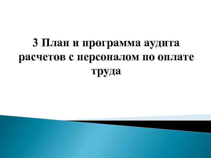 3 План и программа аудита расчетов с персоналом по оплате труда 