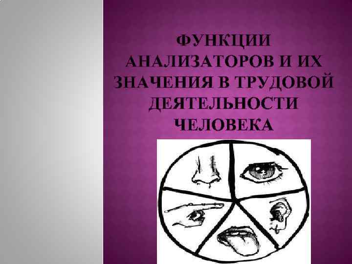 ФУНКЦИИ АНАЛИЗАТОРОВ И ИХ ЗНАЧЕНИЯ В ТРУДОВОЙ ДЕЯТЕЛЬНОСТИ ЧЕЛОВЕКА 