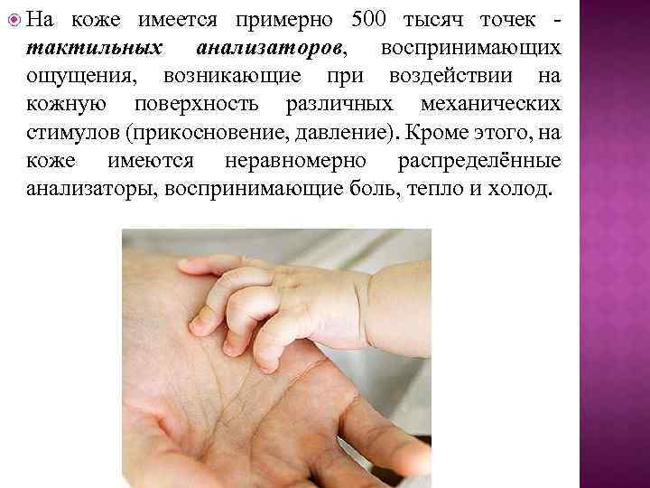  На коже имеется примерно 500 тысяч точек тактильных анализаторов, воспринимающих ощущения, возникающие при