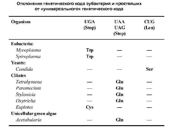 Отклонения генетического кода эубактерий и простейших от «универсального» генетического кода 