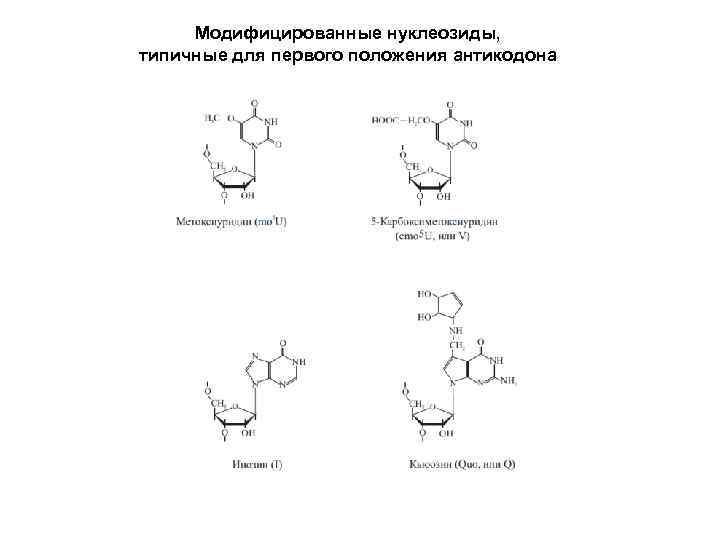 Модифицированные нуклеозиды, типичные для первого положения антикодона 