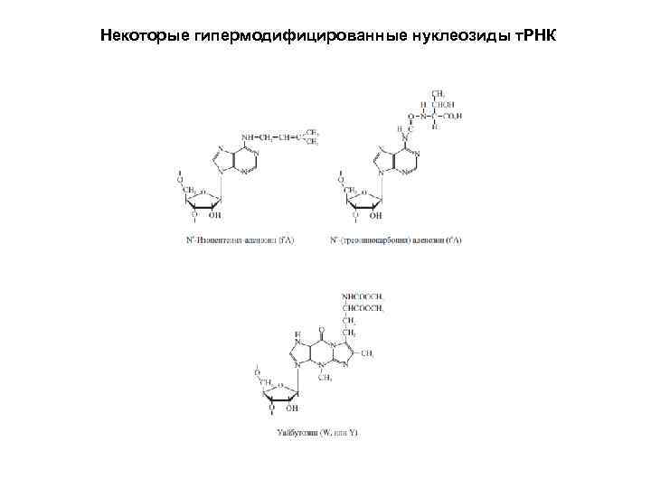 Некоторые гипермодифицированные нуклеозиды т. РНК 