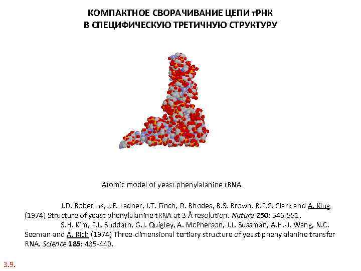 КОМПАКТНОЕ СВОРАЧИВАНИЕ ЦЕПИ т. РНК В СПЕЦИФИЧЕСКУЮ ТРЕТИЧНУЮ СТРУКТУРУ Atomic model of yeast phenylalanine
