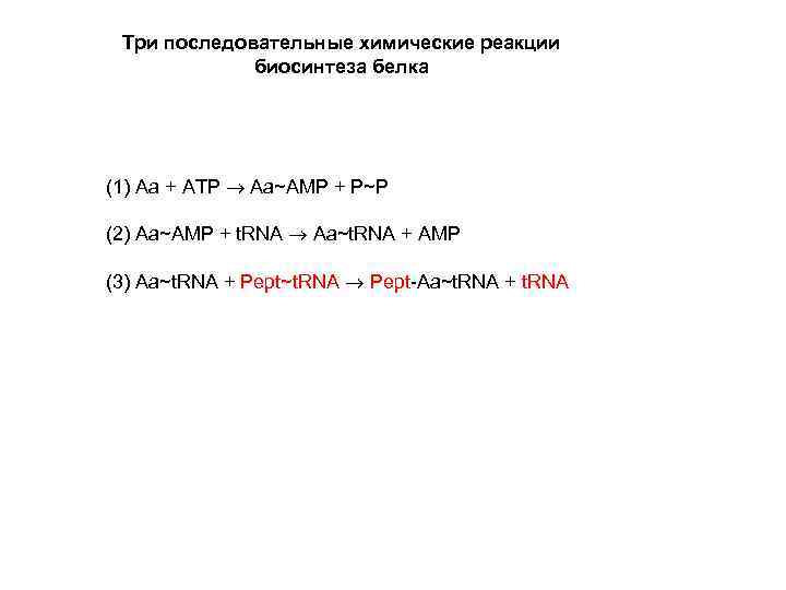 Три последовательные химические реакции биосинтеза белка (1) Aa + ATP Aa~AMP + P~P (2)