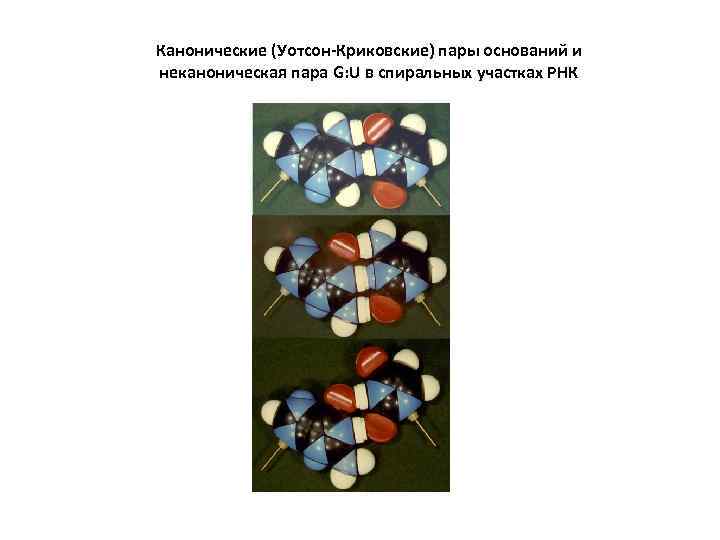 Канонические (Уотсон-Криковские) пары оснований и неканоническая пара G: U в спиральных участках РНК 