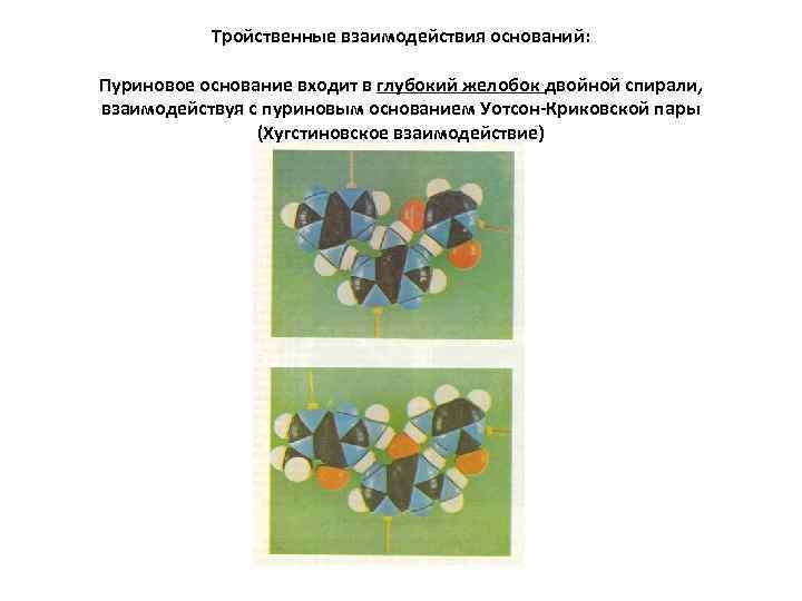 Тройственные взаимодействия оснований: Пуриновое основание входит в глубокий желобок двойной спирали, взаимодействуя с пуриновым