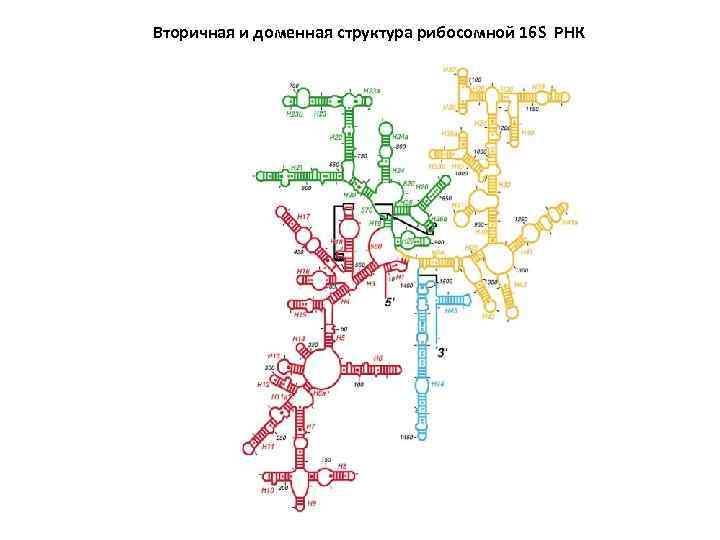 4 1 3 структура