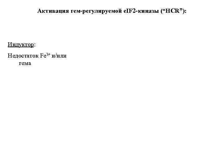 Активация гем-регулируемой e. IF 2 -киназы (“HCR”): Индуктор: Недостаток Fe 3+ и/или гема 