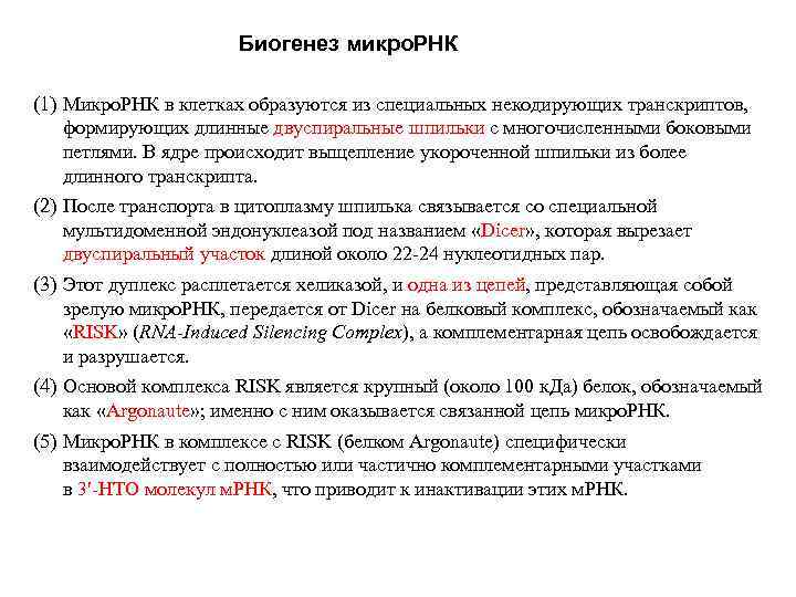 Биогенез микро. РНК (1) Микро. РНК в клетках образуются из специальных некодирующих транскриптов, формирующих