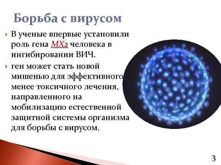 Борьба с вирусом В ученые впервые установили роль гена МХ 2 человека в ингибировании
