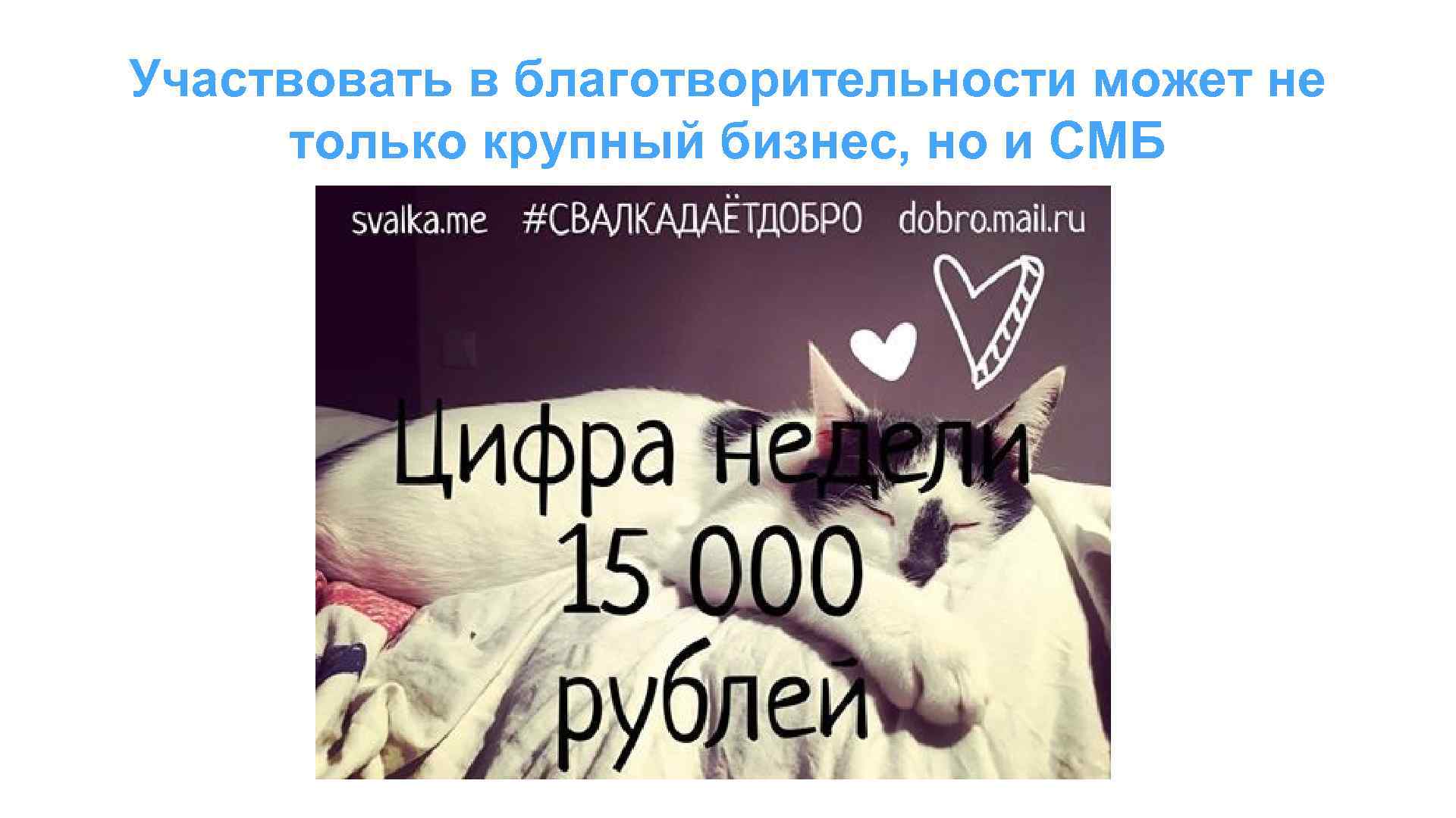 Участвовать в благотворительности может не только крупный бизнес, но и СМБ 