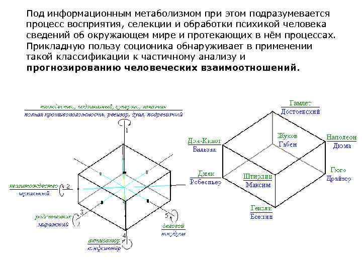 Под информационным метаболизмом при этом подразумевается процесс восприятия, селекции и обработки психикой человека сведений