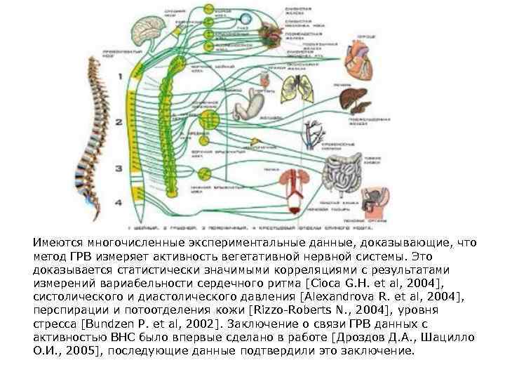 Имеются многочисленные экспериментальные данные, доказывающие, что метод ГРВ измеряет активность вегетативной нервной системы. Это
