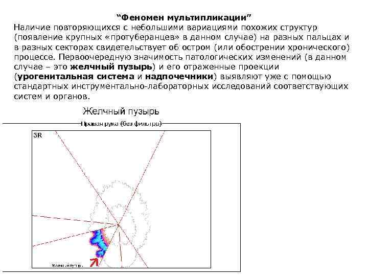 “Феномен мультипликации” Наличие повторяющихся с небольшими вариациями похожих структур (появление крупных «протуберанцев» в данном