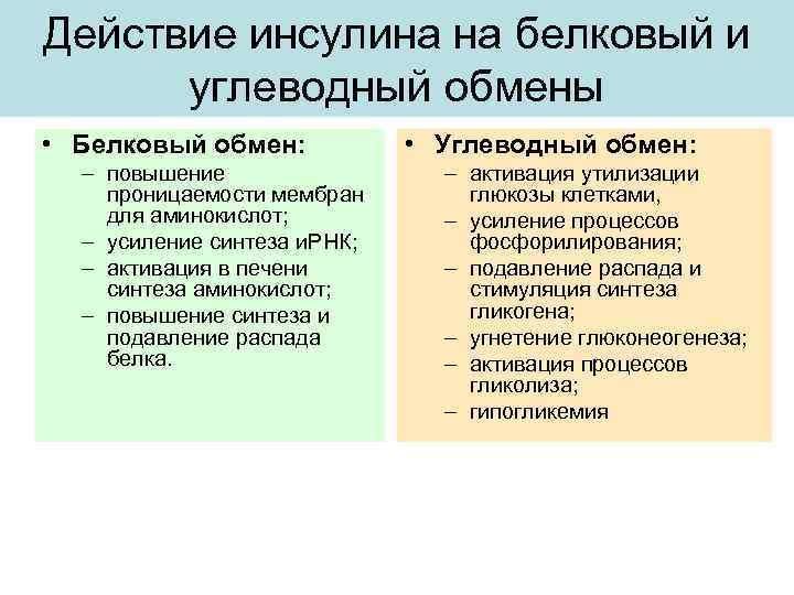 Действие инсулина на белковый и углеводный обмены • Белковый обмен: – повышение проницаемости мембран