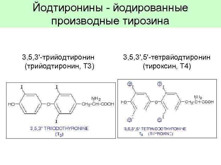 Йодтиронины - йодированные производные тирозина 3, 5, 3'-трийодтиронин (трийодтиронин, Т 3) 3, 5, 3',