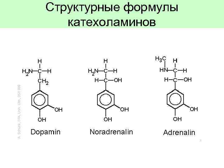 Производные аминокислот. Катехоламины структурная формула. Катехоламины - производные аминокислоты. Гормоны производные аминокислот формулы. Гормоны производные аминокислоты тирозин это.